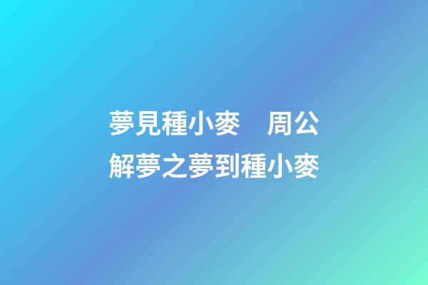夢見種小麥　周公解夢之夢到種小麥